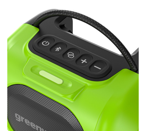 Беспроводная акустическая система аккумуляторная Greenworks GPT-MNBS 24V/220V, без АКБ и ЗУ