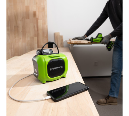 Беспроводная акустическая система аккумуляторная Greenworks GPT-MNBS 24V/220V, без АКБ и ЗУ
