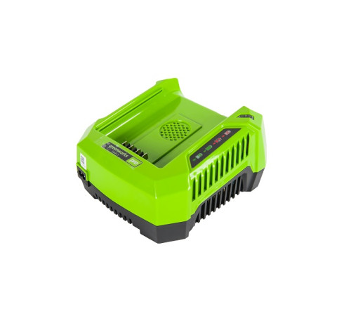 Зарядное устройство Greenworks 80V G82B2