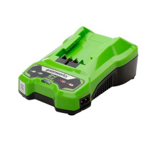 Зарядное устройство Greenworks G24C4 (24В)