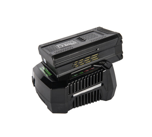 Зарядное устройство Greenworks 82V GC82C 4А