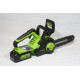 Цепная пила аккумуляторная Greenworks 24V G24CS25K2 (1хАКБ 2Ач и ЗУ) 25см