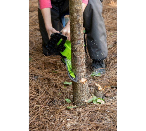 Цепная пила аккумуляторная Greenworks 24V GD24CS30 (1xАКБ 2Ач и ЗУ) 30см