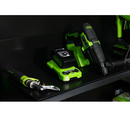 Зарядное устройство Greenworks 24V G24C4 4А