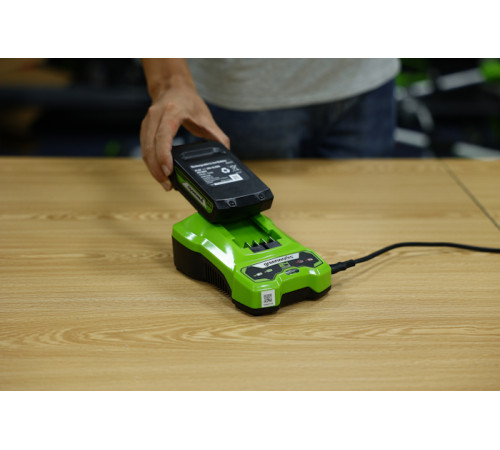 Зарядное устройство Greenworks 24V G24C4 4А