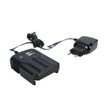 Зарядное устройство Greenworks G40UCM2M (40В)