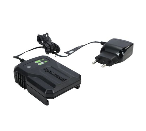 Зарядное устройство Greenworks 40V G40UCM2M 2A