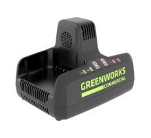Зарядное устройство Greenworks G82C2 (2x82В)