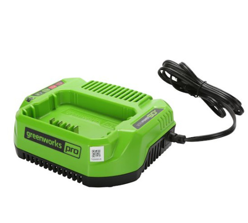 Зарядное устройство Greenworks 60V G60UC 2А