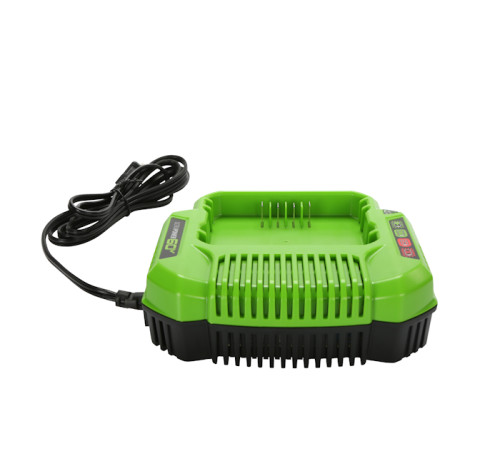 Зарядное устройство Greenworks 60V G60UC 2А