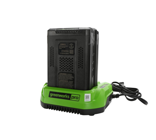 Зарядное устройство Greenworks 60V G60UC 2А