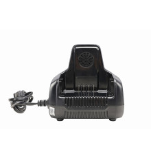 Зарядное устройство Greenworks G60DC10 2954407