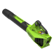 Воздуходув аккумуляторный Greenworks 24V G24BIII (без АКБ и ЗУ)